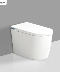 Bồn cầu thông minh đa chức năng SJ-TL0009S (1)