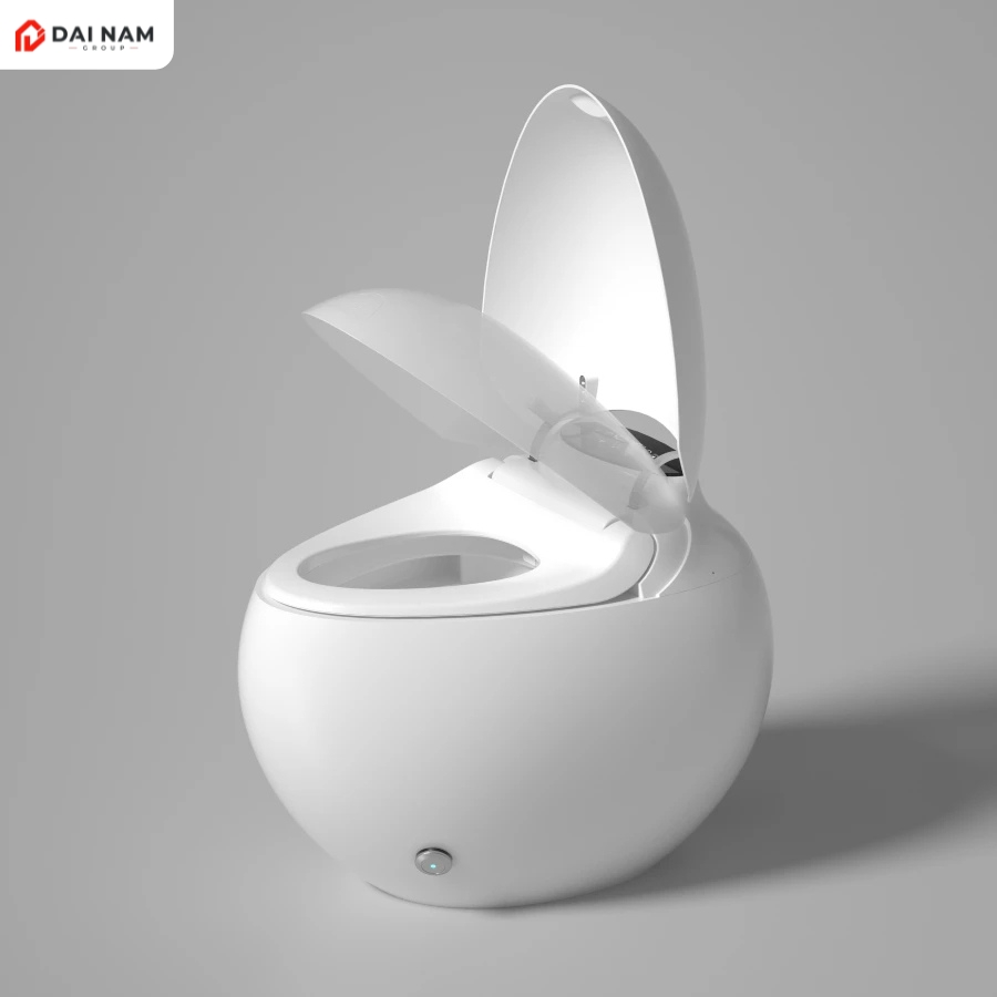 Bồn cầu trứng thông minh đa chức năng SJ-6666D (3)